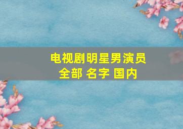 电视剧明星男演员全部 名字 国内